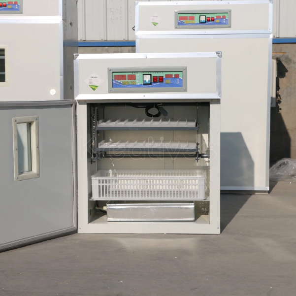 176Eggs Automatic Egg Incubator AC/DC