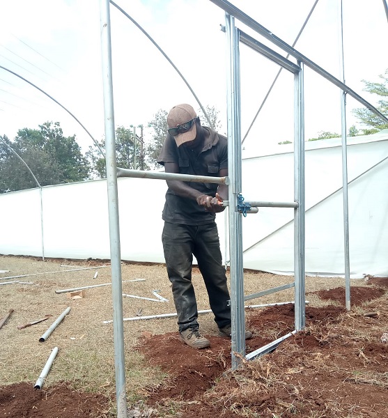 32m x 30m Tunnel Greenhouse Complete Kenya – Arch Braced Galvanized Steel | Kreatives.co.ke