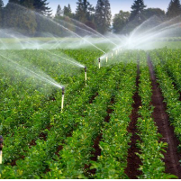 Plumbing, Irrigation & Water Pumps