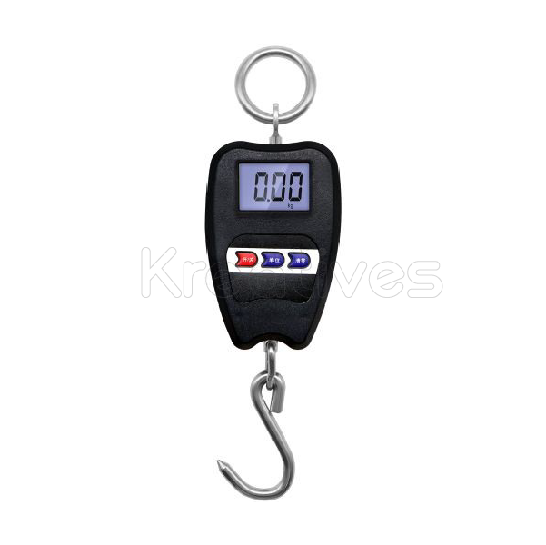 Digital 200Kg Hanging Scale