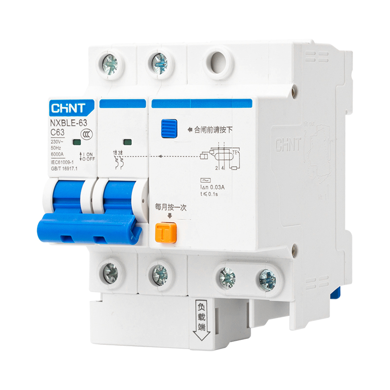 Chint RCBO Residual Current Breaker with Overcurrent 2P 63A Single Phase