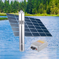Premier Solar Pump 70M 250Watts Submersible Pump + Solar Panel + Controller - Kreatives.co.ke